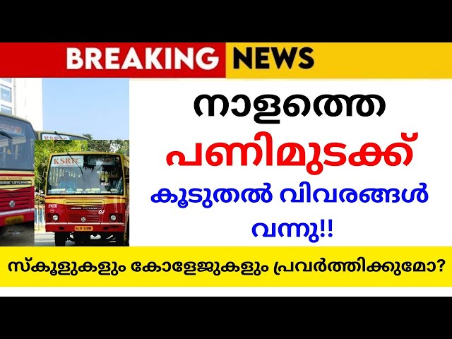 നാളത്തെ പണിമുടക്ക്,അവധി🔴School holiday news today malayalam|school avadhi vartha|band news|holiday