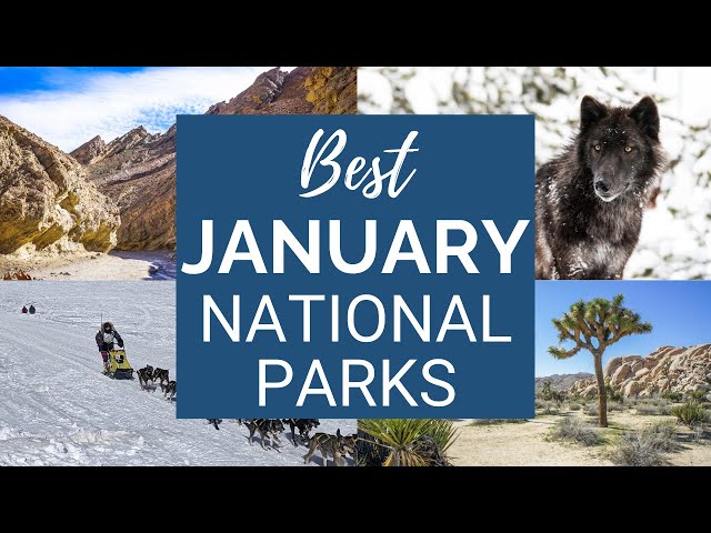 Best National Parks to Visit in January (according to a former park ranger!)