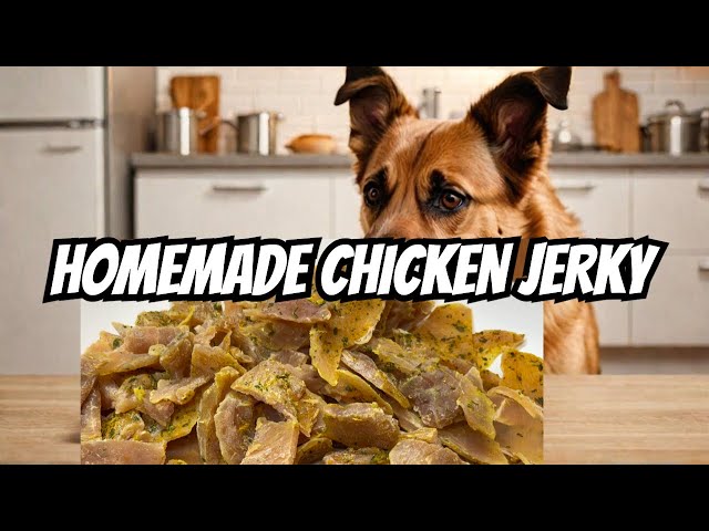 How To Make Chicken Jerky For Dogs - Homemade Dog Treats