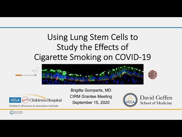 Using Lung Stem Cells to Study the Effects of Cigarette Smoking on COVID-19 - Brigitte Gomperts