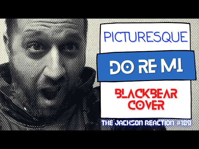 YouTube Artist Reacts to @PicturesqueBand Do Re Mi [blackbear Cover] | TJR189