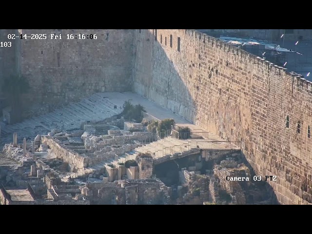 Pray Live: Bethlehem Hills, Judean Desert, Via Dolorosa, Jordan River. A Biblical Journey.