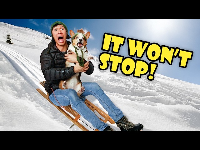 I Almost Froze In the Snow with My Dog! || Life After College: Ep. 786