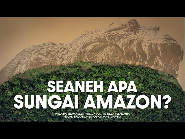 Bagaimana Sungai Amazon Menciptakan Monster? | #BelajarDuniaPurba