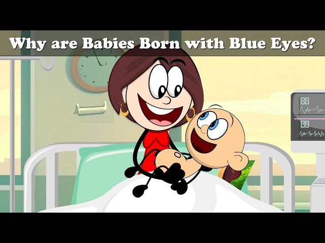 Why are Babies Born with Blue Eyes? + more videos | #aumsum #kids #cartoon #science