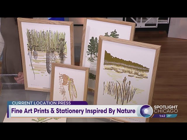 Fine Art Prints & Stationery Inspired By Nature