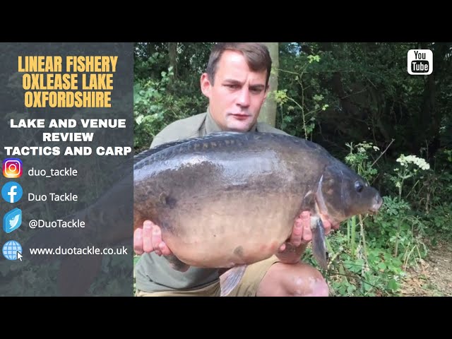 CARP FISHING - OXLEASE LINEAR COMPLEX OXFORDSHIRE