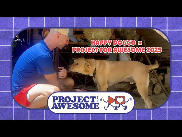 Project For Awesome 2025 | Happy Doggo