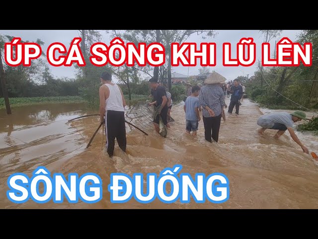 BẮT CÁ SÔNG BẰNG DỤNG CỤ TRUYỀN THỐNG#fishing