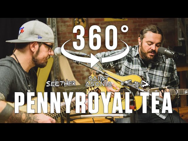 Pennyroyal Tea (Nirvana) Acoustic Cover by Shaun Morgan of @SeetherOfficial, with @SaintAsoniaOfficial @staindvideos