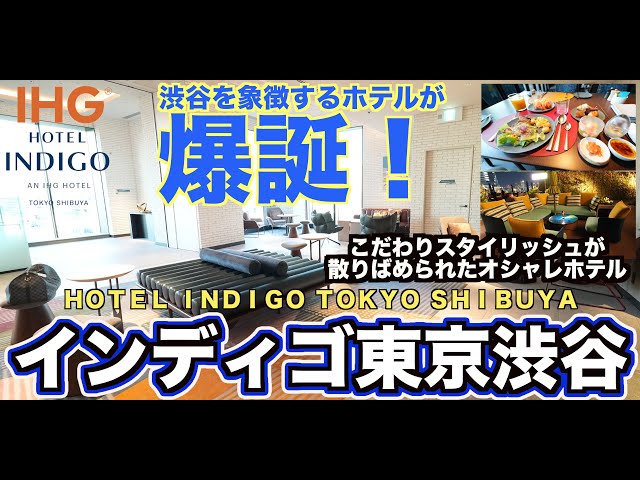 Opening on August 29, 2023! IHG Hotel Indigo Shibuya Tokyo Opening Day Accommodation Review 4K