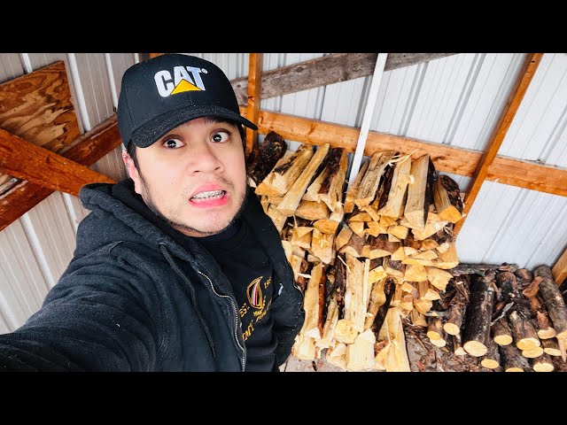 MODERN WAY OF CUTTING WOODS | MODERN AXE HERE IN CANADA | LUMBERMAN | BUHAY CANADA 🇨🇦🍁🪓💪🏻