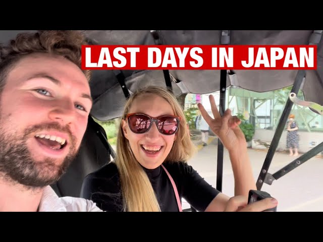 What REALLY Happened before I Left Japan