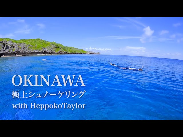 A Collaboration with HeppokoTaylor | Snorkeling at Senaha Yomitan Okinawa | シュノーケリング＠沖縄本島読谷村瀬名波