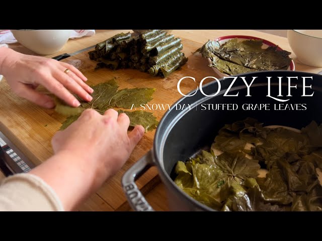 SNOWY WINTER DAYS☃︎⎥SIMPLE AND EASY LIFE⎥TURKISH DOLMA; STUFFED GRAPE LEAVES