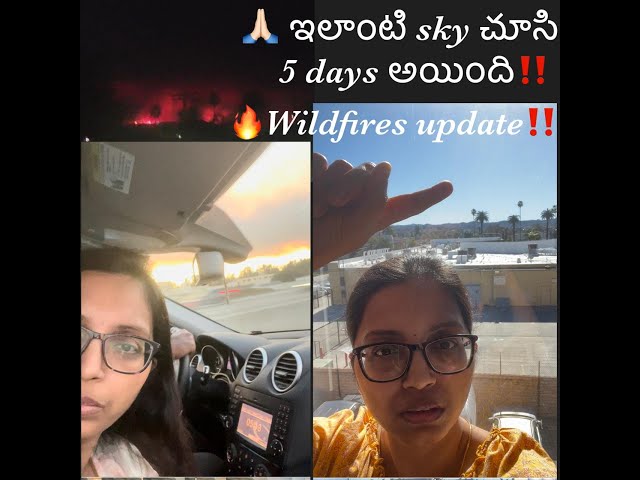 ‼️Jan 12 USA California wildfires Update🔥ఇలా normal sky & hills చూసి 5 days అయింది🙏🏻#usateluguvlogs