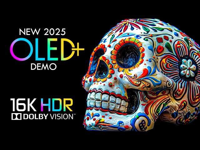 Best 16K Video ULTRA HD 1000 FPS - Dolby Vision 16K HDR OLED TEST