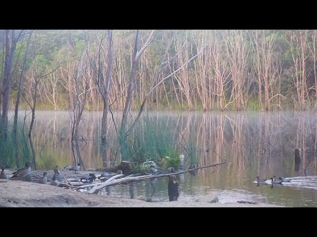 Thirlmere Lakes   080225