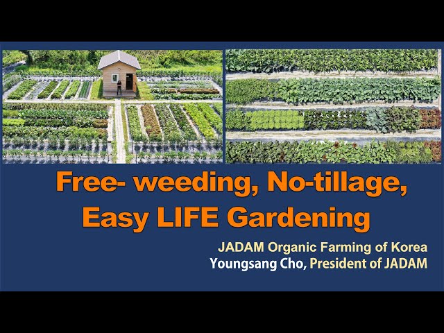 Free- weeding, No-tillage, Easy LIFE Gardening by JADAM