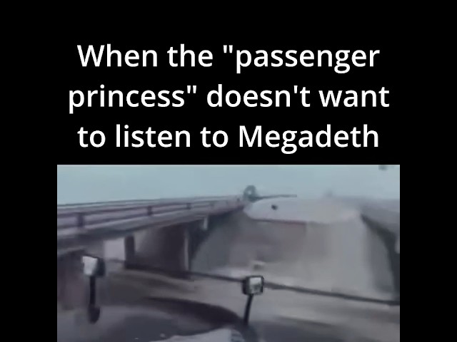 When The Passenger Princess Doesn't Want To Listen To Megadeth  #megadeth #metal #thrashmetal