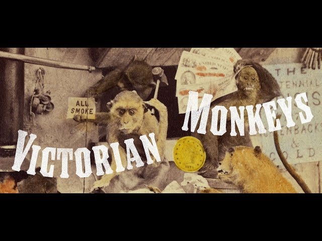 Victorian Monkeys in 3D