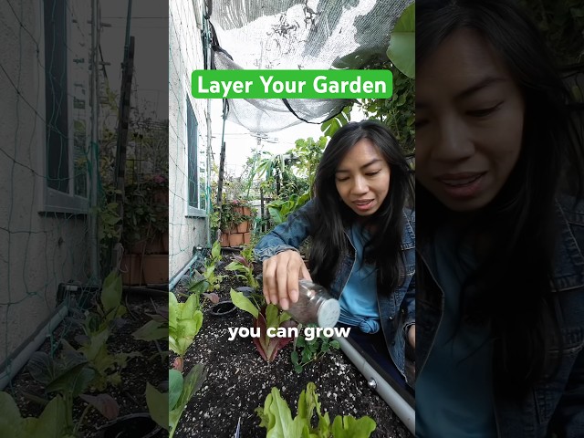 Revolutionize Small Space Gardening with This Hack