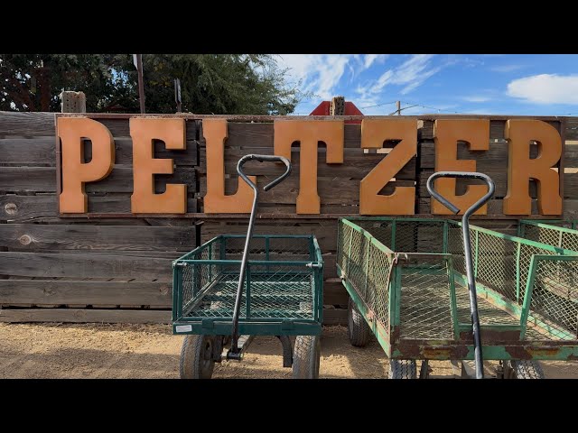 Peltzer Winery & Pumpkin Farm 2024 [4K]