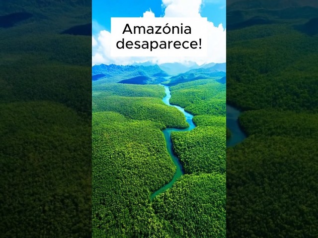 Por que florestar o Saara pode destruir a Amazônia?