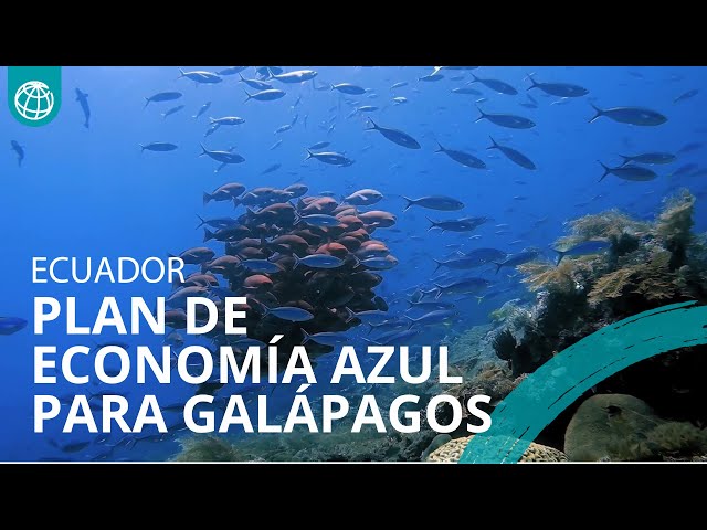 Ecuador: Plan de #EconomíaAzul para #Galápagos 2025 - 2050