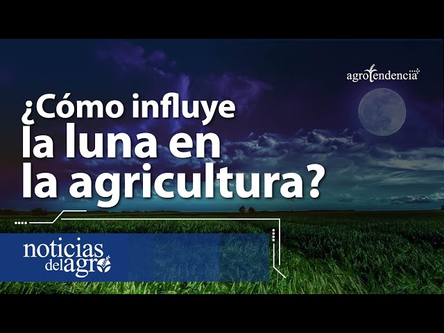 ¿Cómo influye la luna en la agricultura? 🌑🌱