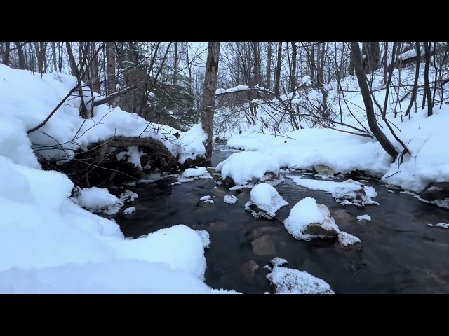 babbling brook ... snow covered