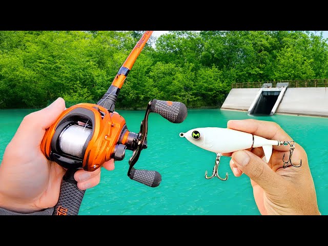 Random Topwater Budget Fishing Challenge!