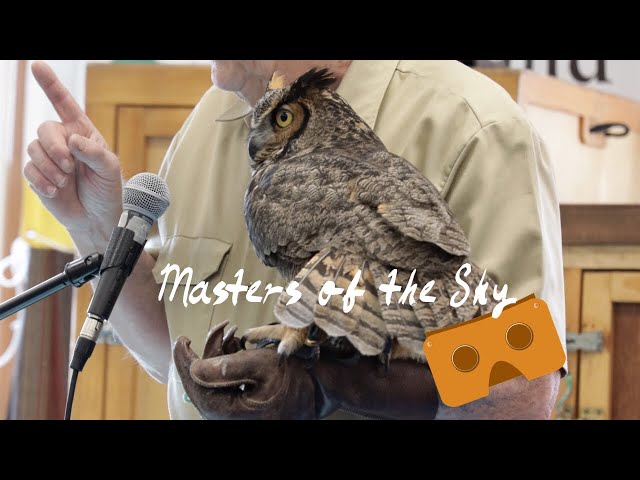 Masters of the Sky in 3D