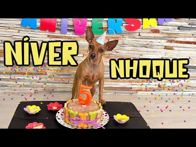 ✨O MAKING OF DO ANIVERSÁRIO DO NHOQUE ✨