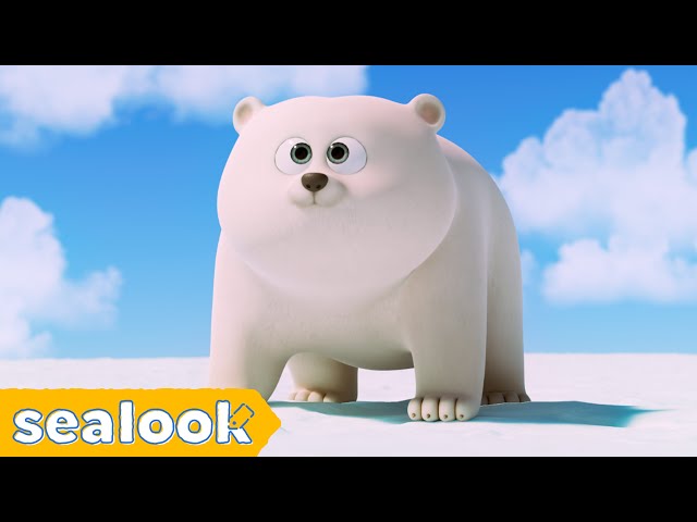 [🐻‍❄️NEW] How I Met My Baby Polar Bear? | SEALOOK | EP.109