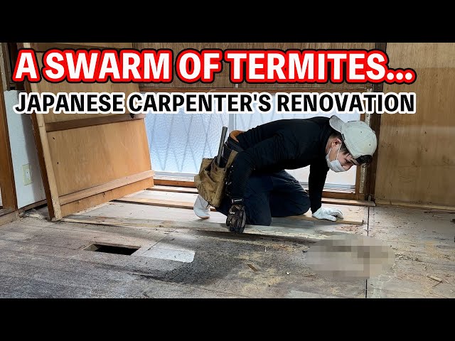 40-Year-Old Steel House: Shocking Termite Infestation! Room Torn Down by a Japanese Carpenter