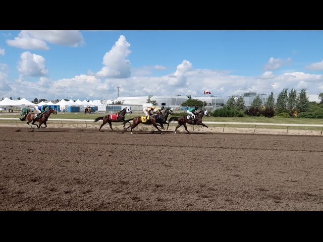 A DAY AT THE HORSE RACES | DrivenMonkeyVlog #33