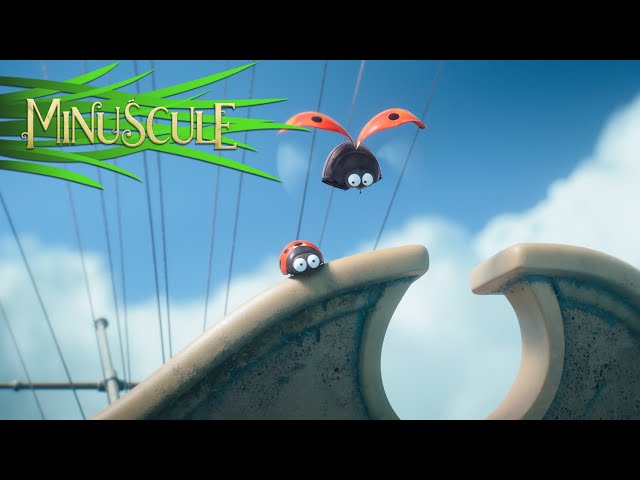 BANDE-ANNONCE OFFICIELLE DU NOUVEAU FILM MINUSCULE !