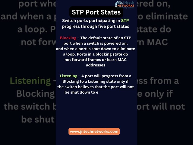 STP PORT STATES