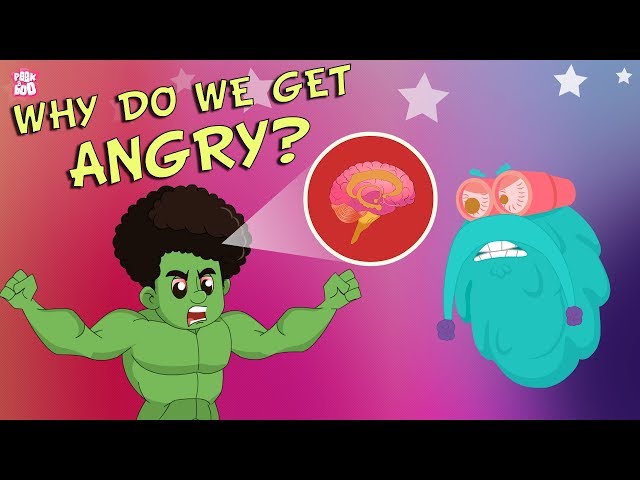 Why Do We Get Angry? | The Dr. Binocs Show | Best Learning Videos For Kids | Peekaboo Kidz