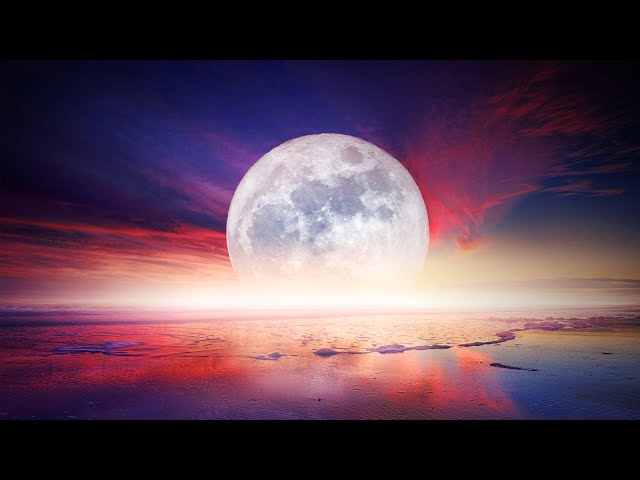 24 Hours of Relaxing Sleep Music • Deep Sleep Music, Meditation, Night Sounds, Relaxing Music, Calm