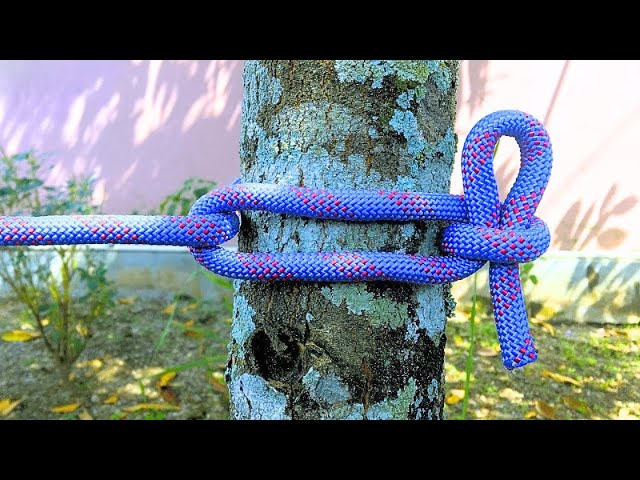 Three Secret of an Extraordinary Knot That Few People Know