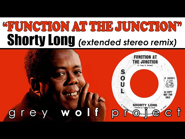 FUNCTION AT THE JUNCTION - SHORTY LONG (114.7 bpm extended stereo re-mix)