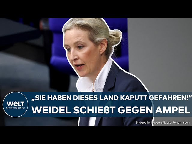 BUNDESTAG: "Sie haben alle noch nie im Leben gearbeitet!" Alice Weidel liefert sich Wortgefecht