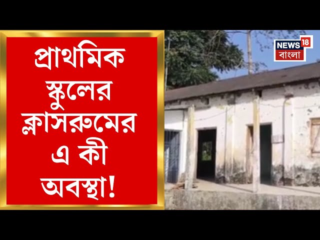 Dhupguri News : প্রাথমিক স্কুলের ক্লাসরুমের এ কী অবস্থা! বিপাকে স্কুল কর্তৃপক্ষ। Bangla News