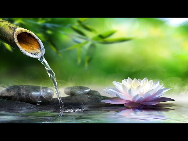 No Ads Relaxing Music For Sleeping ~Deep sleep music, Calming for sleep Stress relief, Meditation...