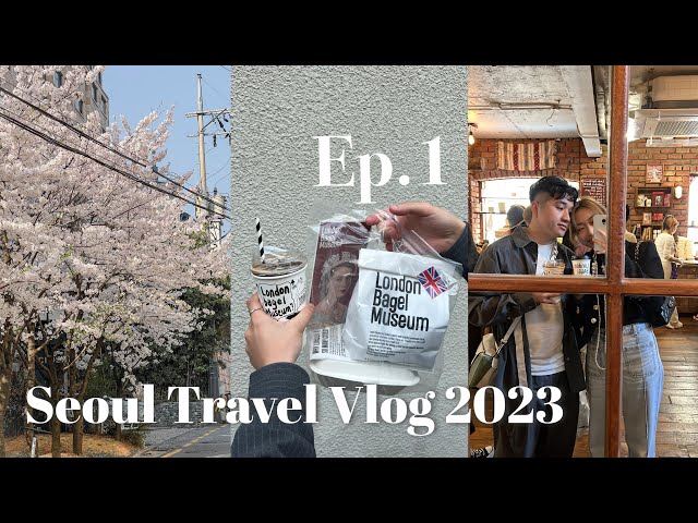 2023首爾旅行Vlog🇰🇷Ep.1網紅CafeLondon Bagel Museum,馬場洞韓牛烤肉,隨街可見嘅絕美櫻花🌸,聖水洞,人氣店W concept,Hotel Anteroom Seoul