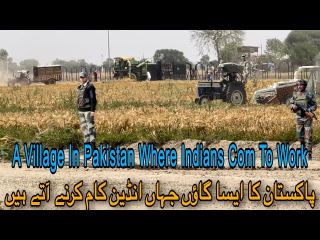 Life on the Edge | Indian Farmers Thrive at the India-Pakistan Border Village | with subtitle