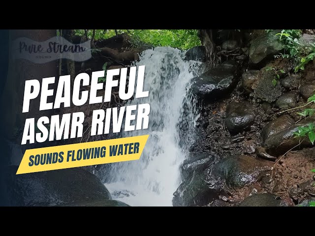 Peaceful ASMR River Sounds | Flowing Water & Nature Ambience for Sleep, Relaxation & Focus