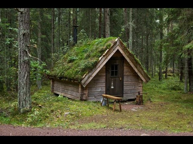 Building A Cabin In The Woods